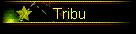Tribu